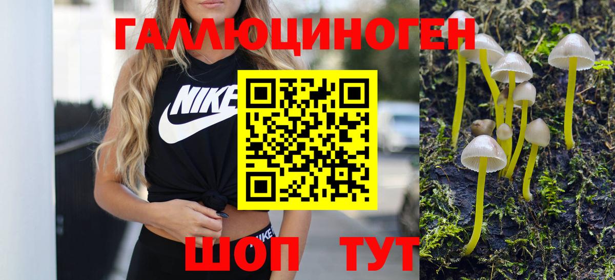 Псилоцибиновые грибы ЛСД Заводоуковск